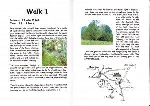 Walk1-a
