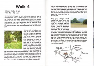 Walk4_0002