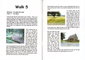 Walk5
